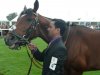 Frankel10.jpg