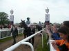 Walkway Bullet Train & Frankel2.jpg