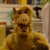 ALF.jpg