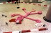 PinkPanther-Web.jpg