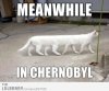 meanwhile-in-chernobyl-9758.jpg