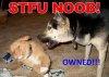 funny-owned-18-500x356.jpg