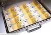 suitcase_full_of_euro_bills_41ddl0025rf.jpg