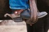 train-horses-spurs-800x800.jpg