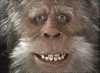upload_2017-7-5_13-57-40.jpeg