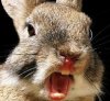 upload_2017-7-7_16-11-51.jpeg