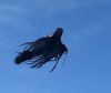 halloween-drone-dementor-harry-potter-michael-irvine-7.jpg