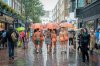 Rain-459163.jpg