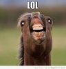 2017-08-07-13-03-27--100920337.jpeg