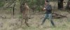 guypuncheskangaroo.jpg