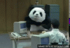 giphy (6).gif