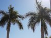 20170922_164730.jpg