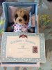 Baby-Oleg-Meerkat-Compare-The-Market-Toy-With.jpg
