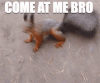 200-2.gif