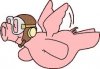Flying Pig.jpg