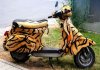 tigerscooter.jpg