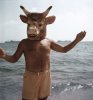 02b49a343a9d230b41e783fbfebbb3d1--cow-head-gjon-mili.jpg