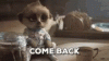 tenor (12).gif