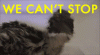tenor (20).gif