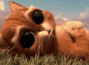 9B6CA8FB-5F72-49F4-BB42-E2D5FDC25903.gif