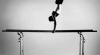 tenor (95).gif