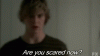 tenor (4).gif