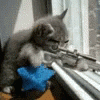 tenor (6).gif