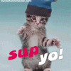 tenor (21).gif