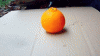 giphy_9.gif