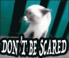B546B0D8-ADF1-484D-8586-D28954813D53.gif