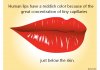 lips-vector-graphics12.jpg