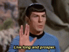 giphy copy 24.gif