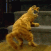 tenor (5).gif
