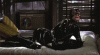 D4D846FF-D56C-4508-9628-273CAC3CFAEB.gif