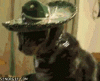 AC388DE2-9959-42C4-A999-1012B9E5A4E0.gif