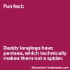Fun-fact-Daddy-longlegs-have-penises-which-technic.jpg