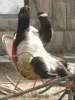 B4FCC8C4-3134-4620-B127-93D6B5211185.gif