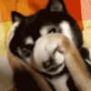 C1F80590-ACD5-4748-A425-0F04FE6B0DE3.gif
