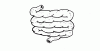 Gut_communicating.gif