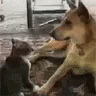 4E920909-5B6F-4ACB-8DF4-8BD6A4E0C2B5.gif