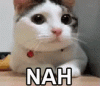 tenor (1).gif