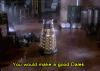 tumblr_mcpddj3NKR1rd3tx8o5_540.gif