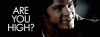 tenor (7).gif