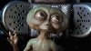 La1BXCY.gif