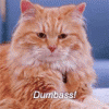 tenor (13).gif