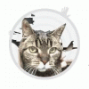 tenor (12).gif