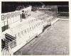 southampton-the-dell-archers-road-terrace-1-bw-1960s-legendary-football-grounds.jpg