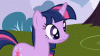 tenor (14).gif