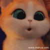 tenor (3).gif