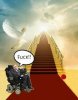 IMG-20180314-WA0001.jpg